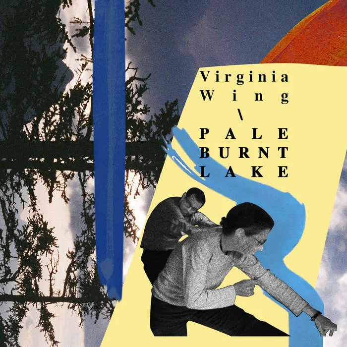 Virginia Wing.jpg