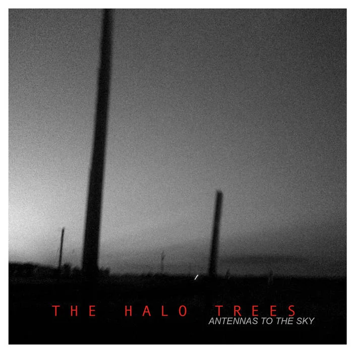 The Halo Trees.jpg