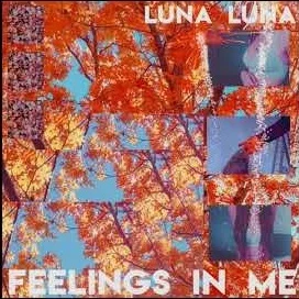 luna%2Bluna.jpg