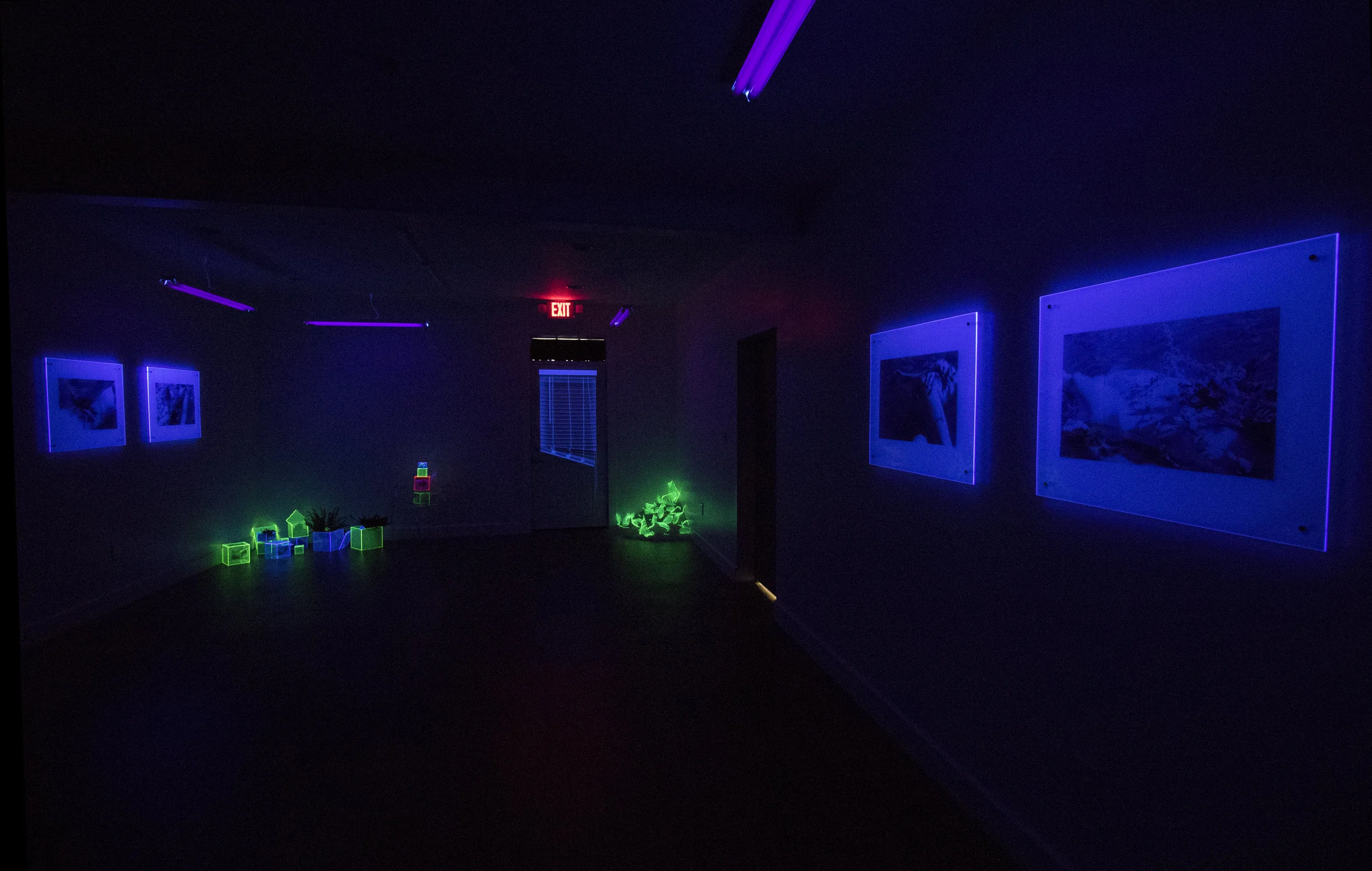 Radiation under black light at Cat Head Press