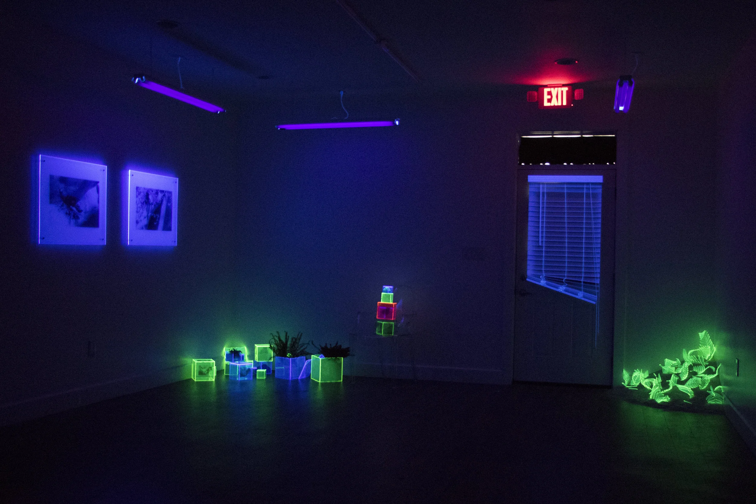 Radiation under black light at Cat Head Press