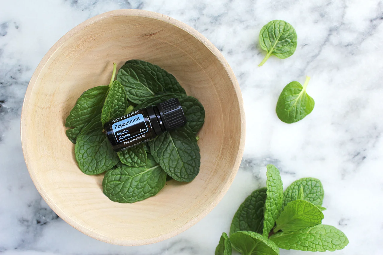 EO Peppermint-Oil.jpg