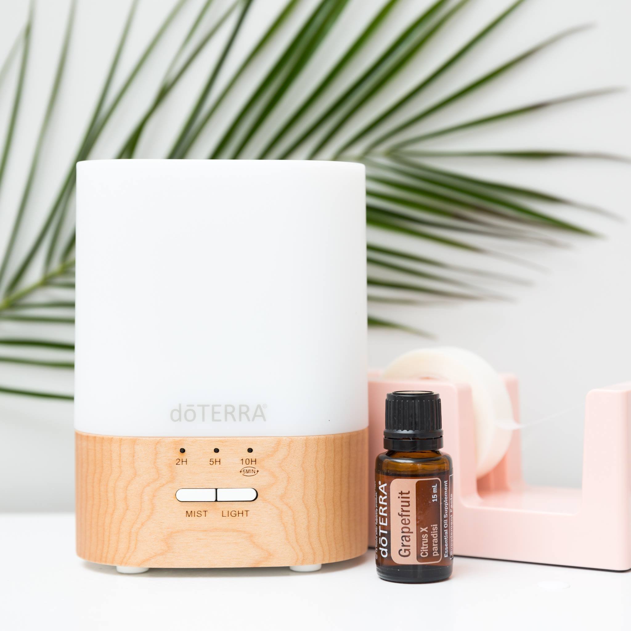 Aroma Essentials Kit