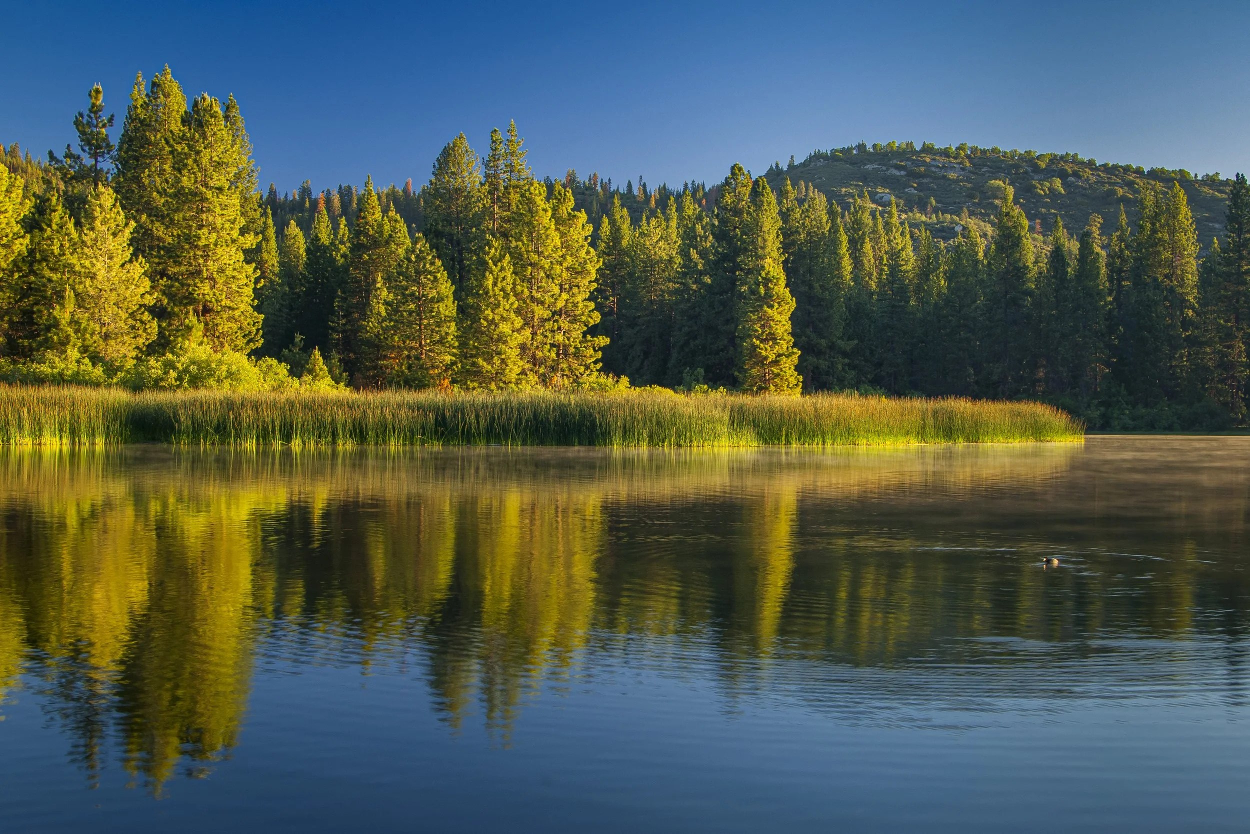 Sitting Tight in an Uptight World