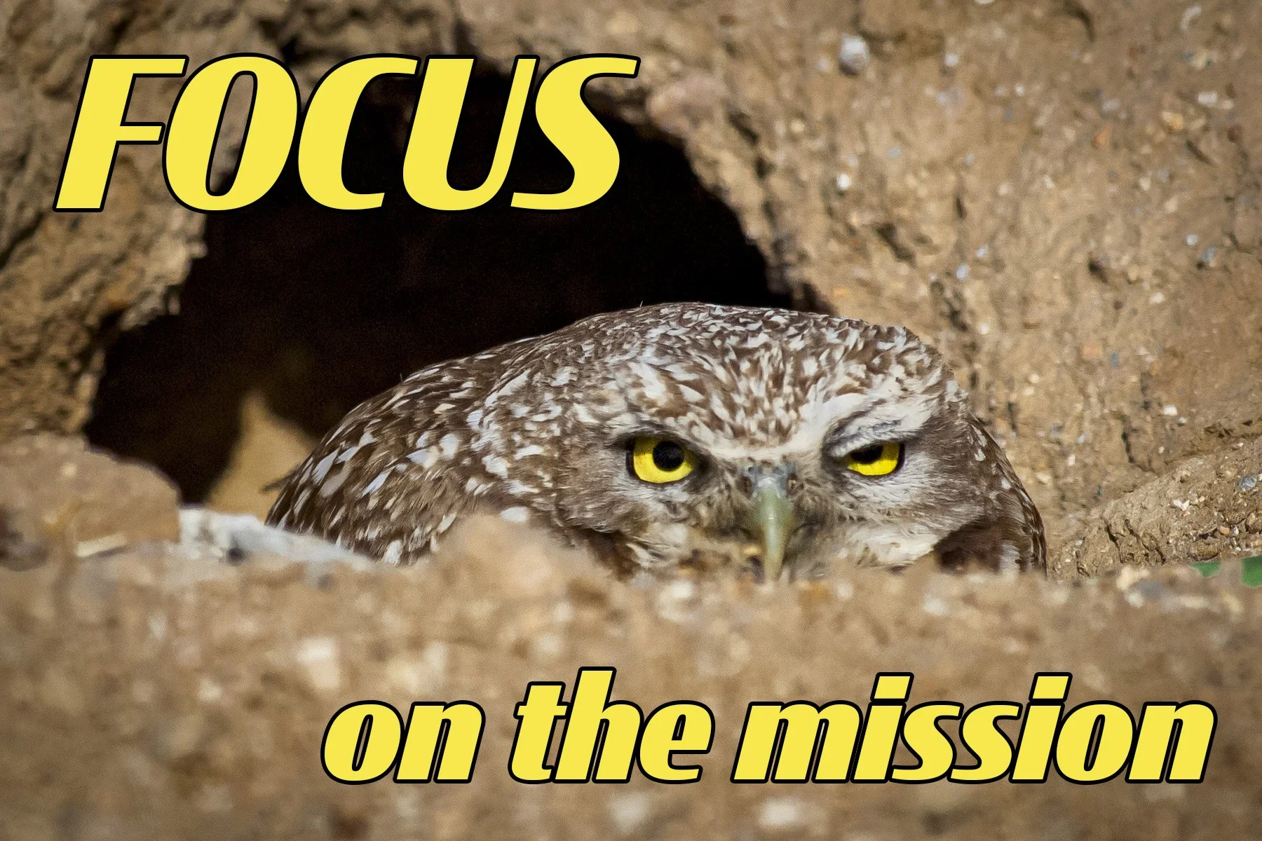 Focus on the Mission