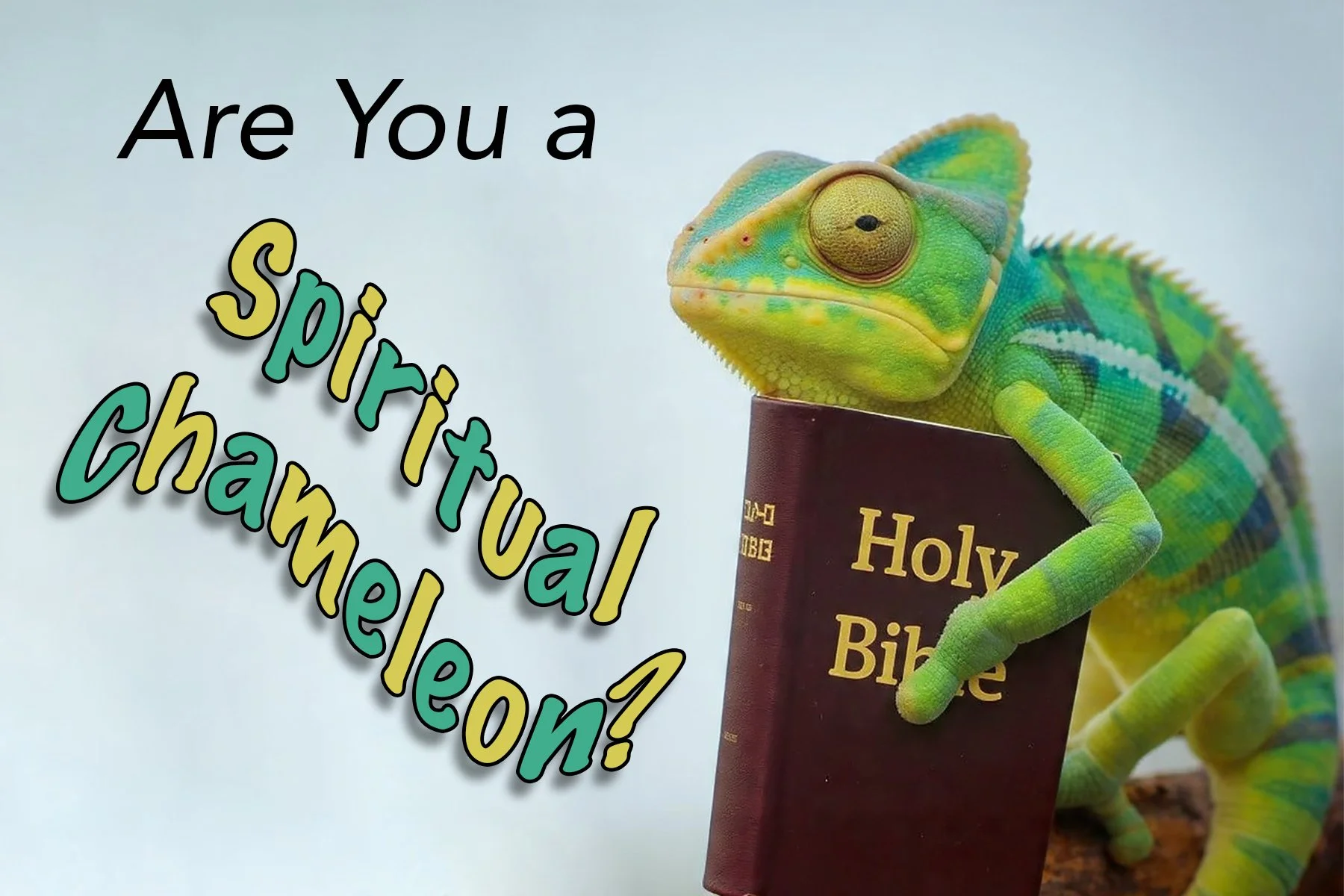 Are You a Spiritual Chameleon?