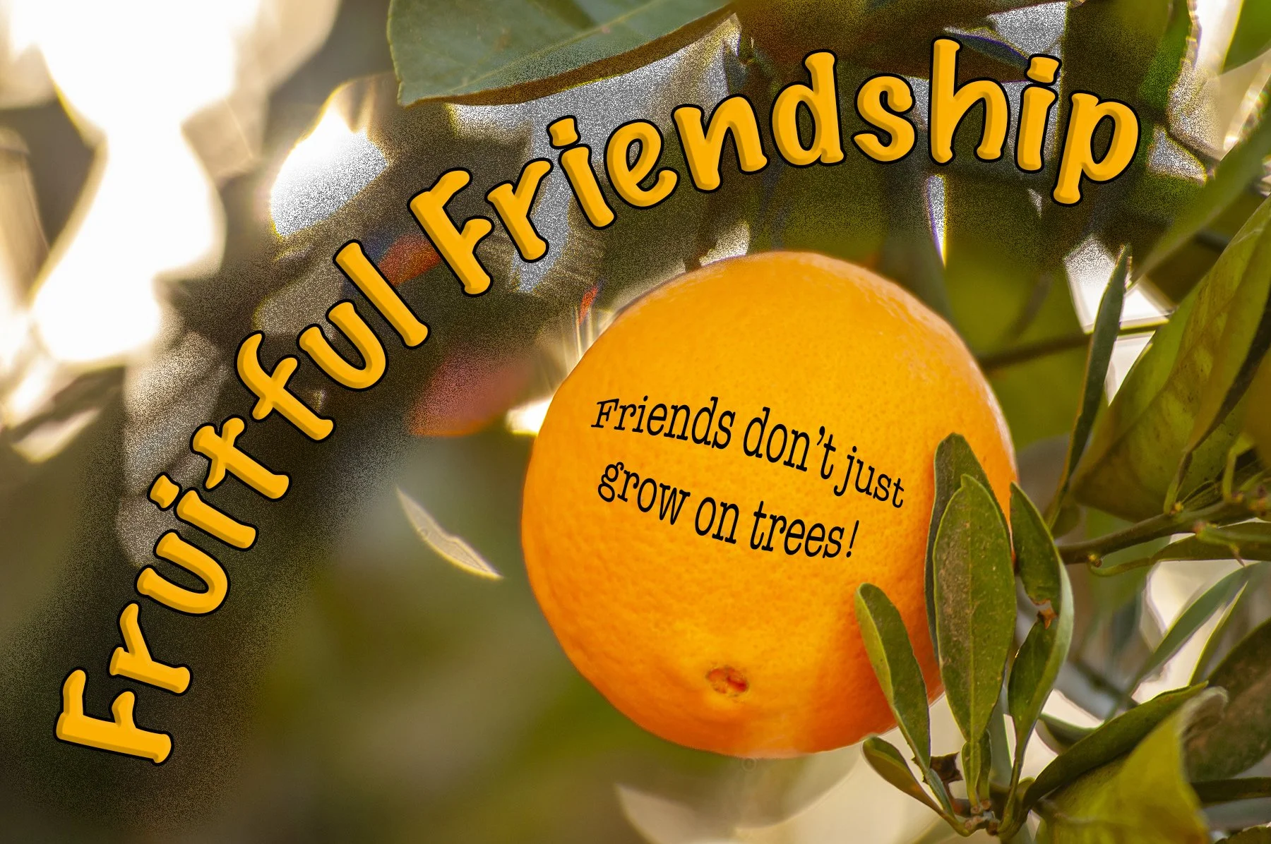 Fruitful Friendship