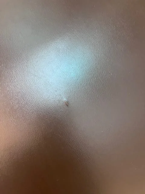 WhatsApp Image 2026-01-01 at 3.49.29 AM.jpeg