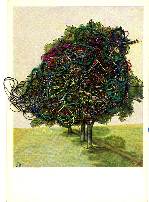 image17.jpg