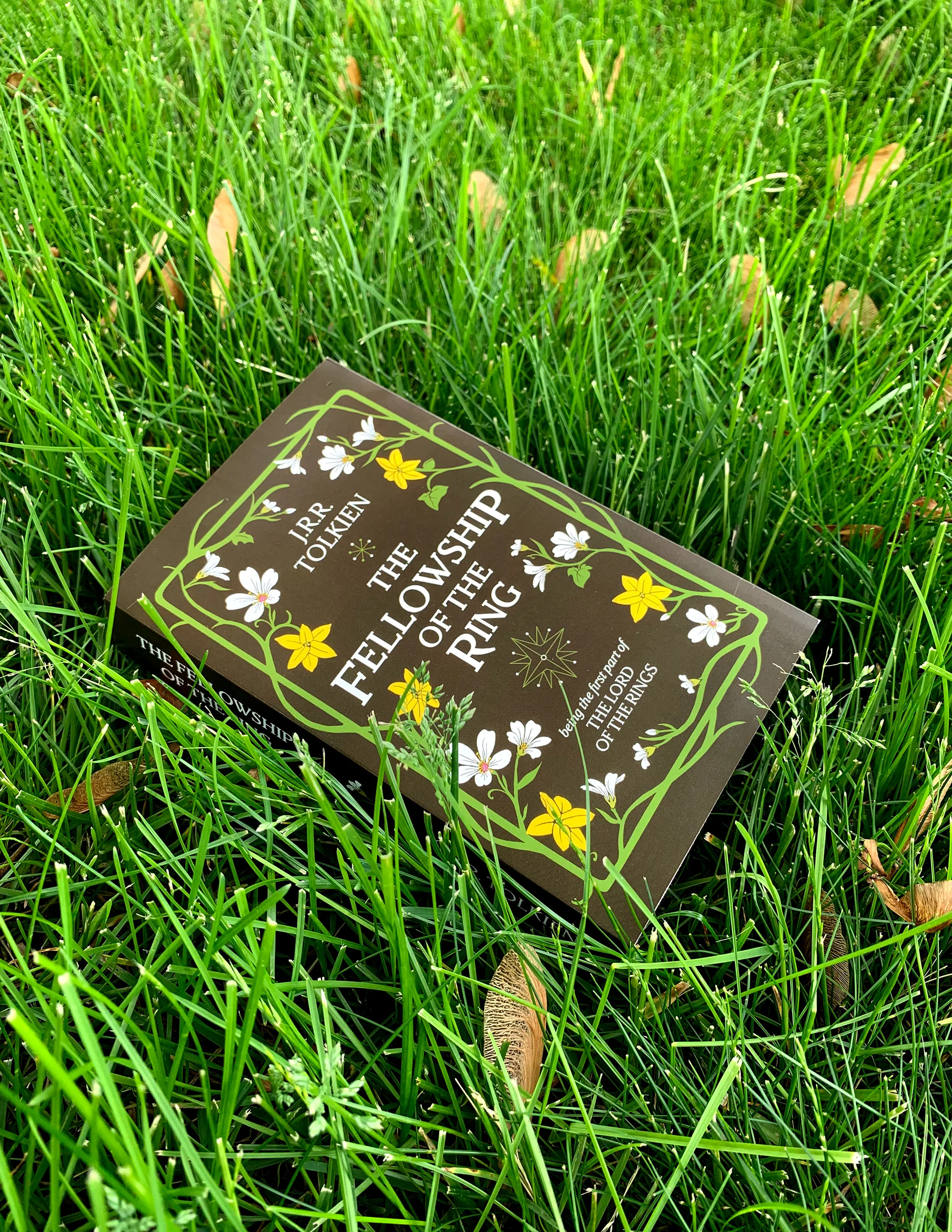 FotR-front_grass.jpg