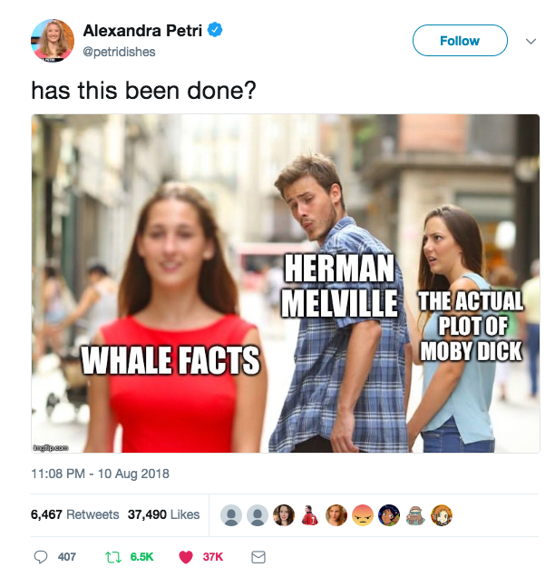 (LHC)WhaleFacts.png