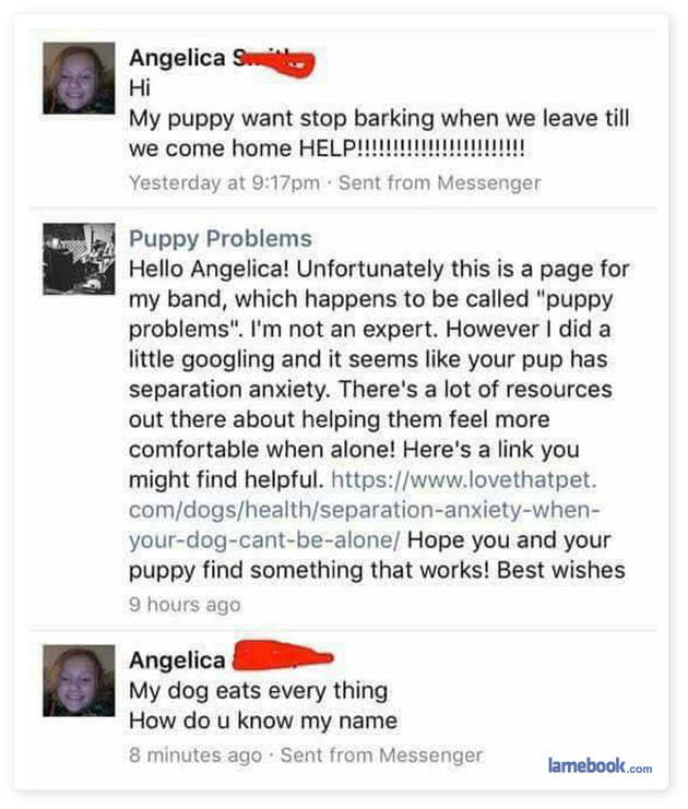 Puppy-Problems.png