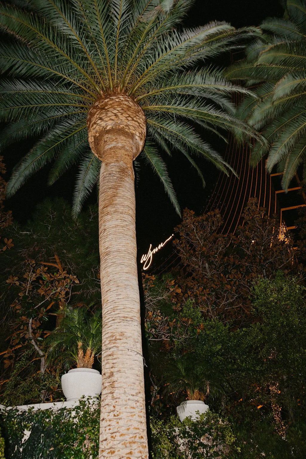 310A5486.JPG