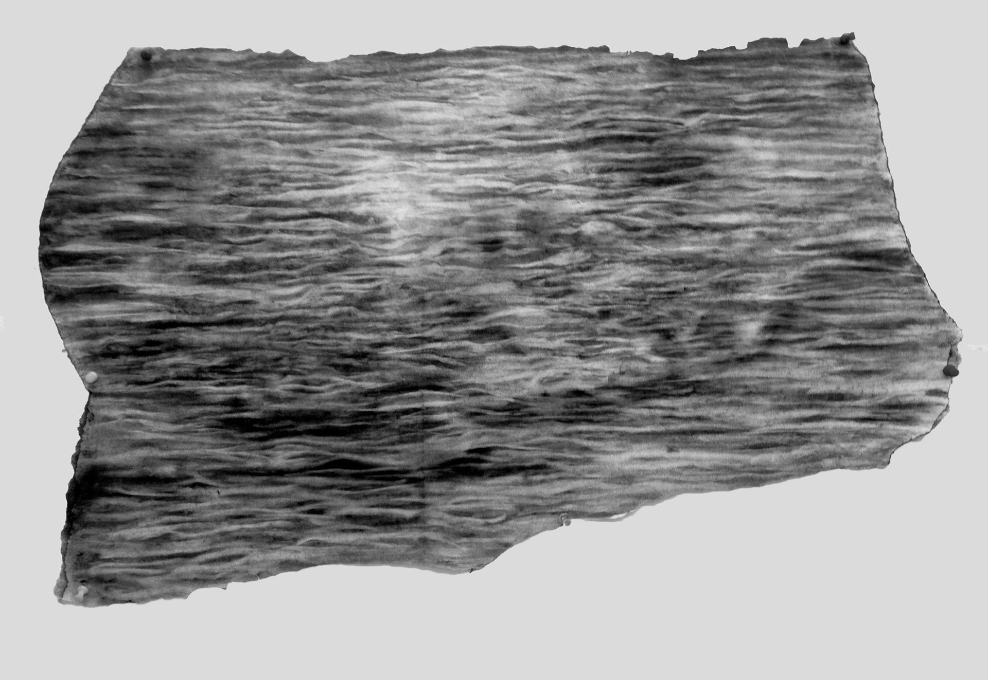 Water Ripples