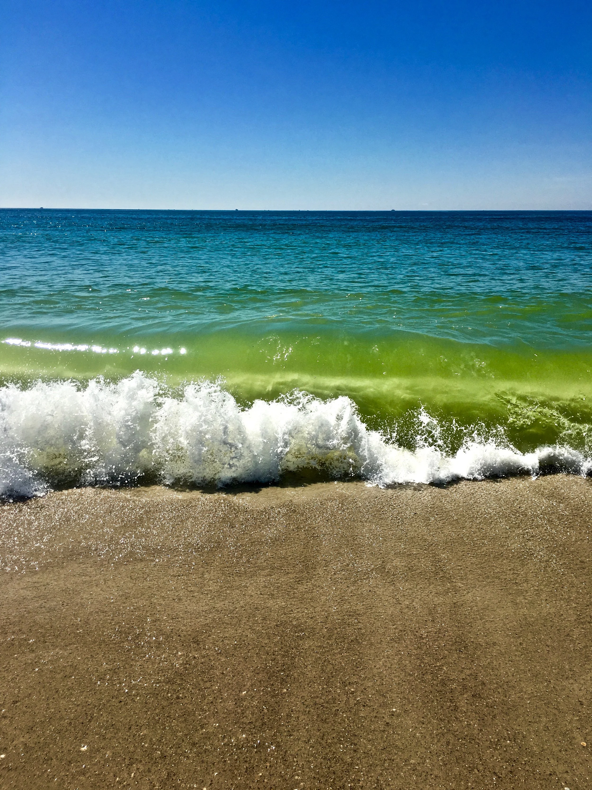 IMG_1985 copy.jpg