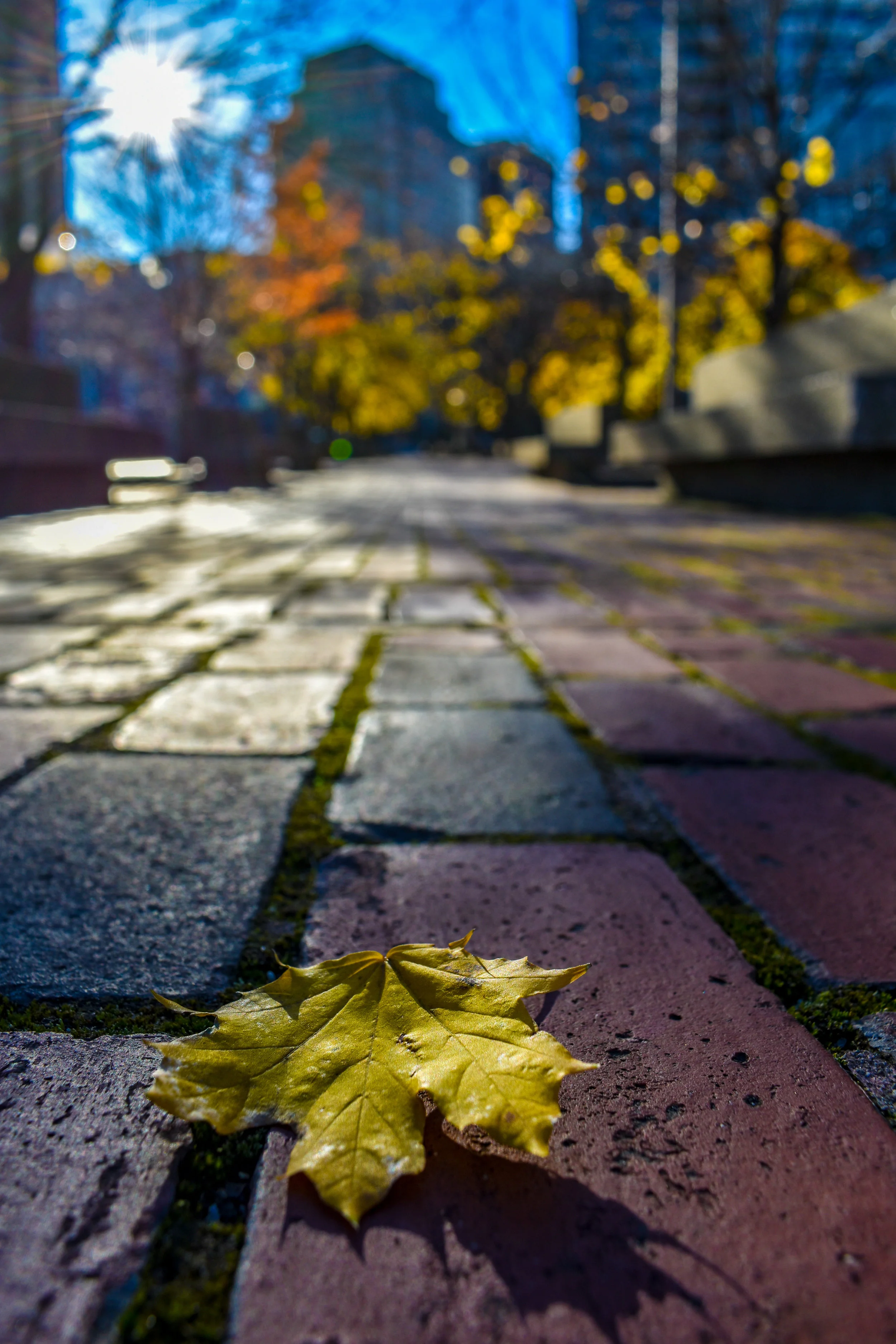 Boston (62 of 89).jpg