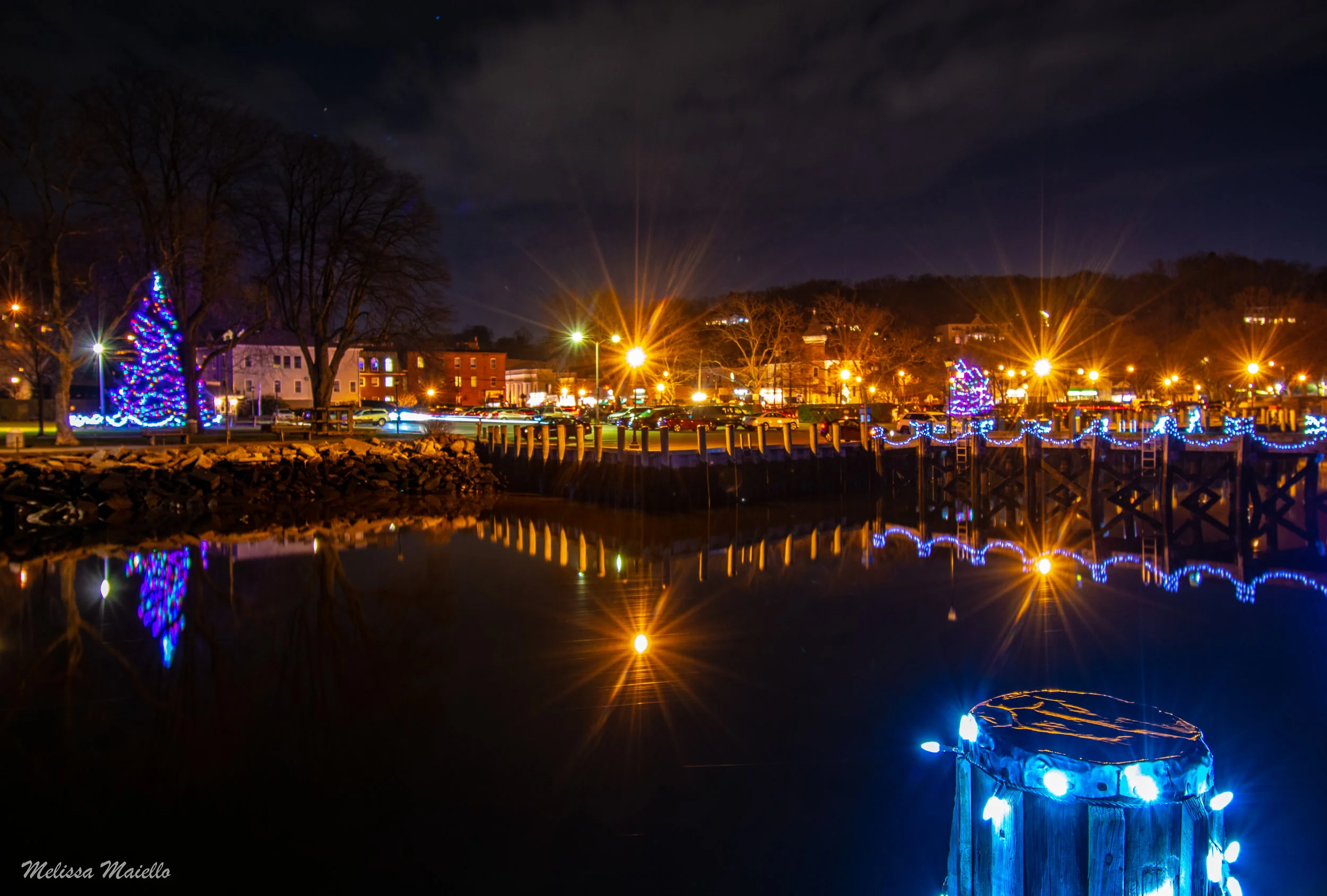 DSC_2919.jpg