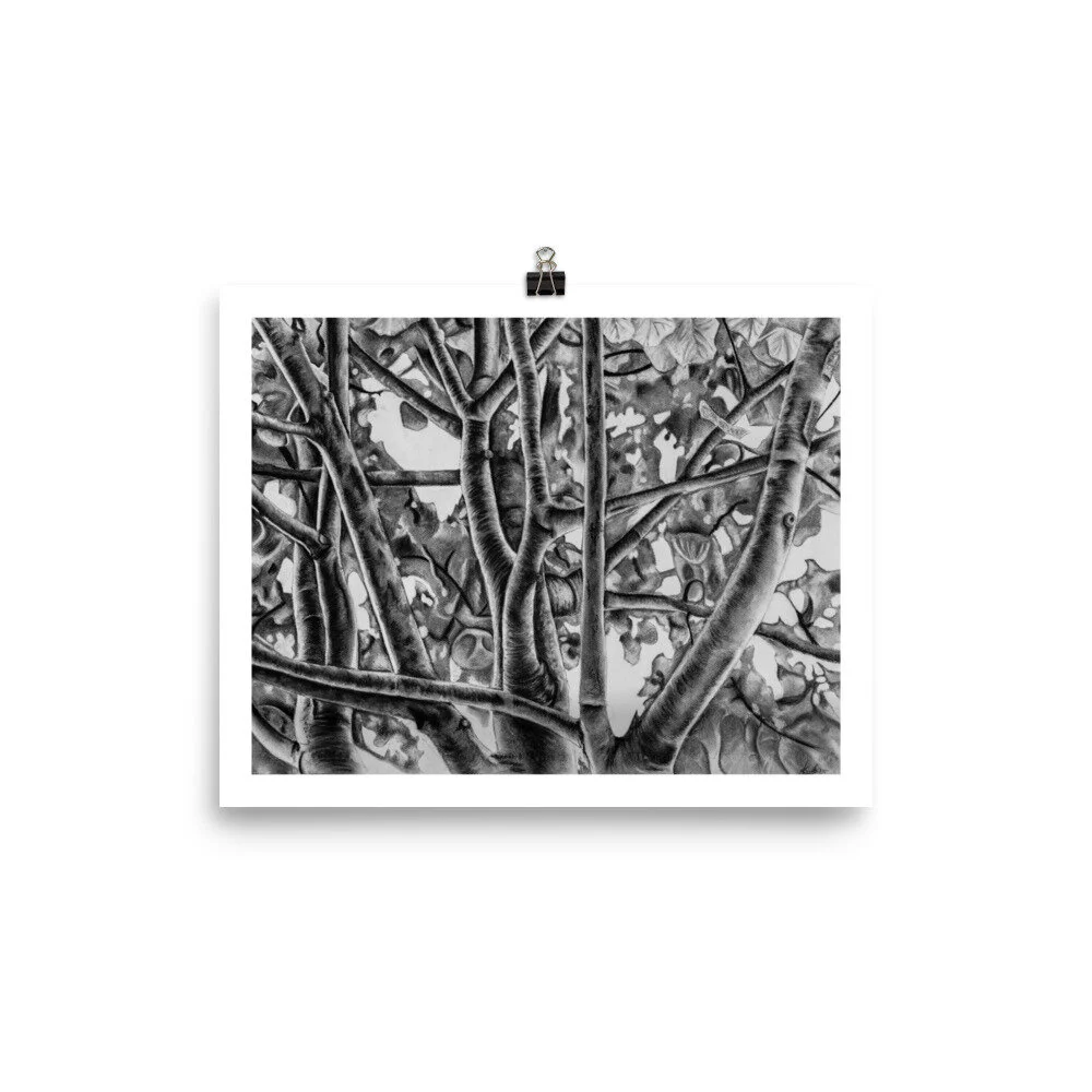 enhanced-matte-paper-poster-(in)-8x10-transparent-60302d6db4ed1.jpg