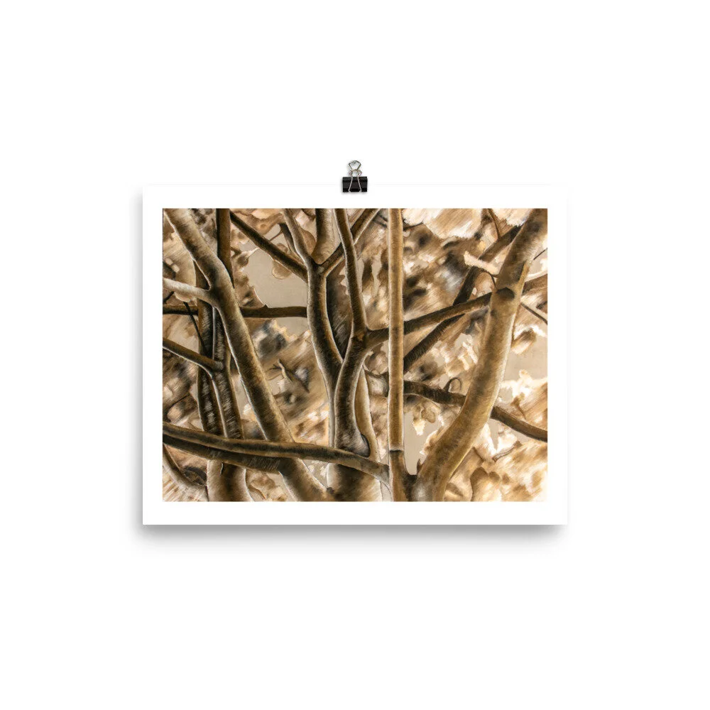 enhanced-matte-paper-poster-(in)-8x10-transparent-60302e98d598f.jpg