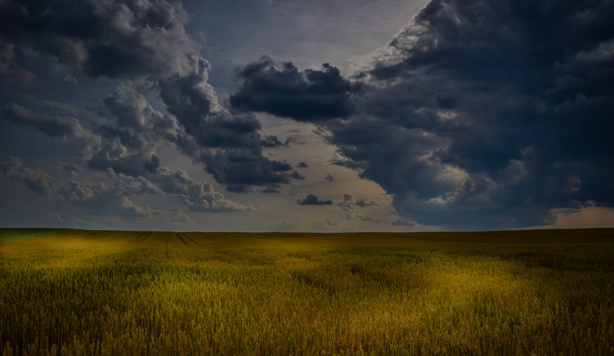 USDA-Nationwide-Home-Page-Paralax.jpg