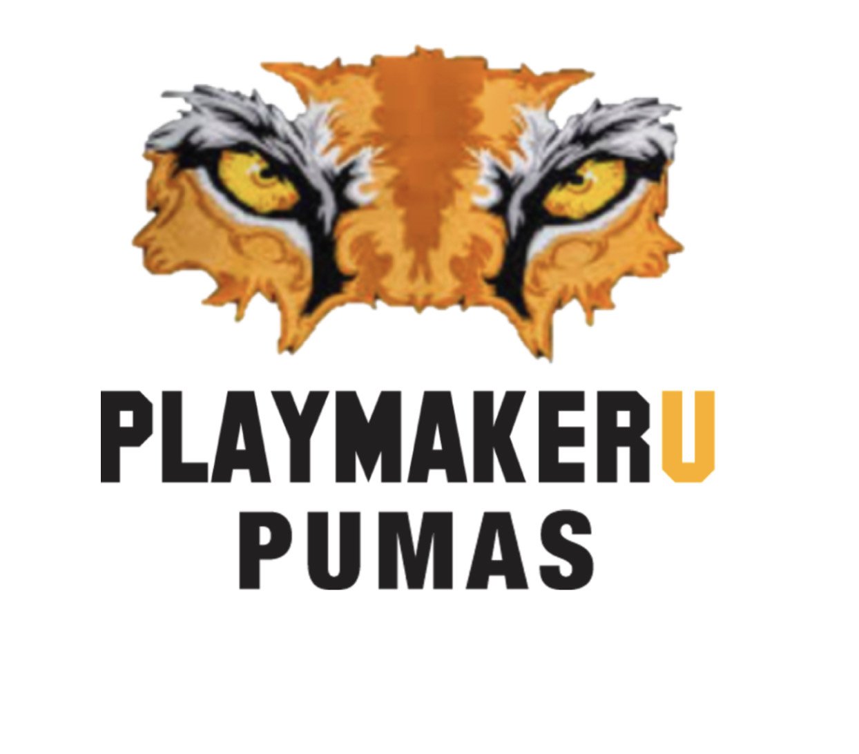 playmakeru pumas logo.jpg