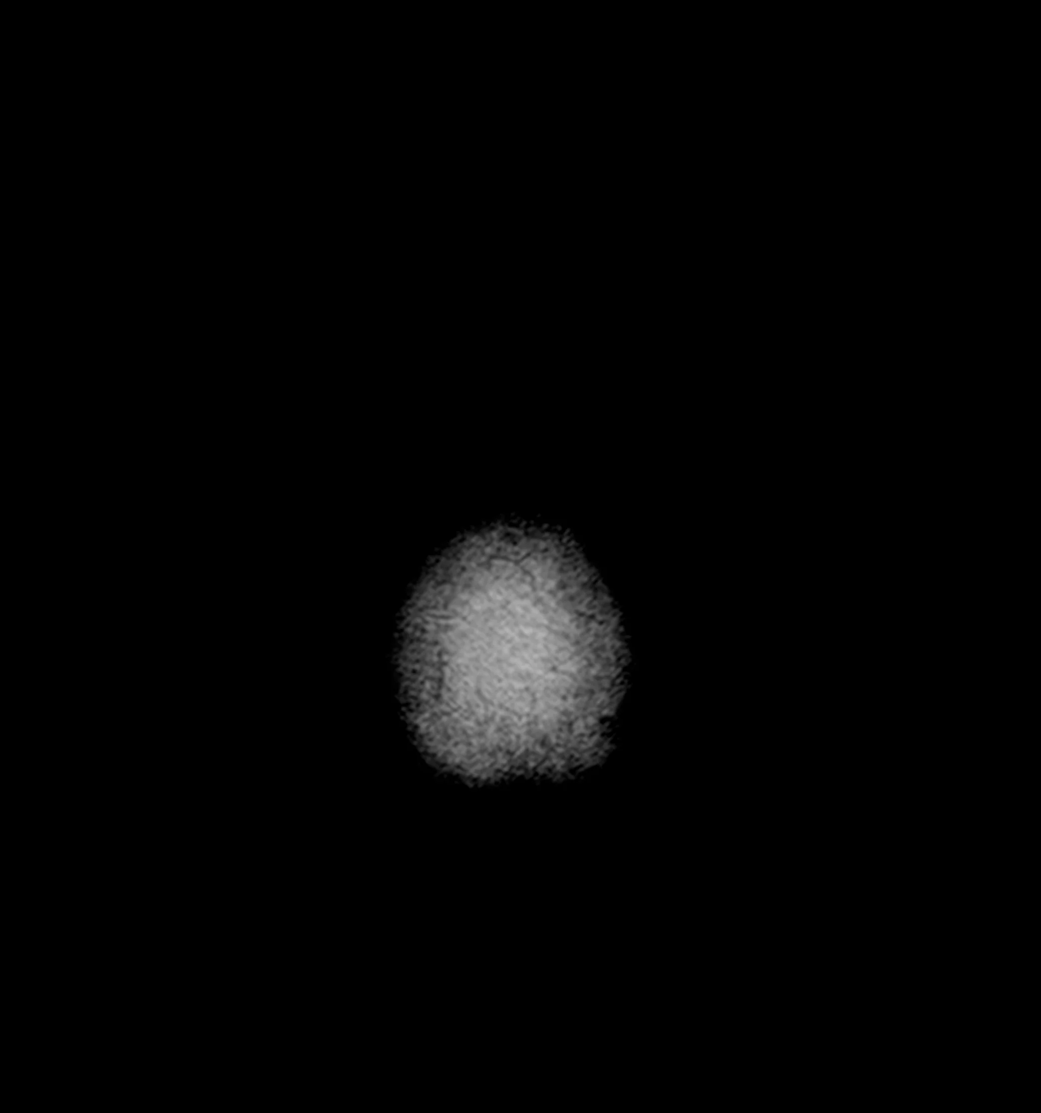 cabeza_0481_Layer 11.jpg