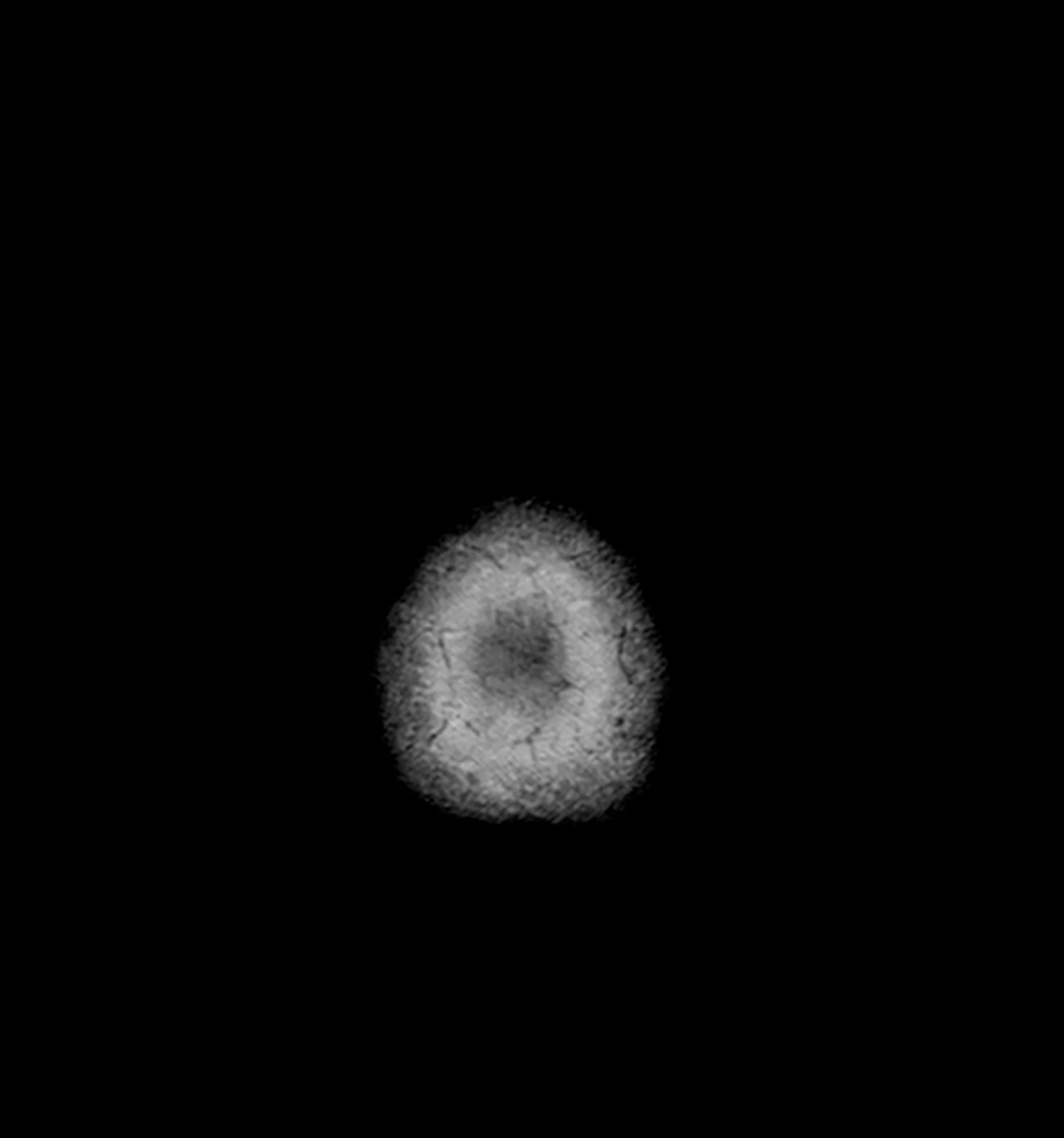 cabeza_0473_Layer 15.jpg