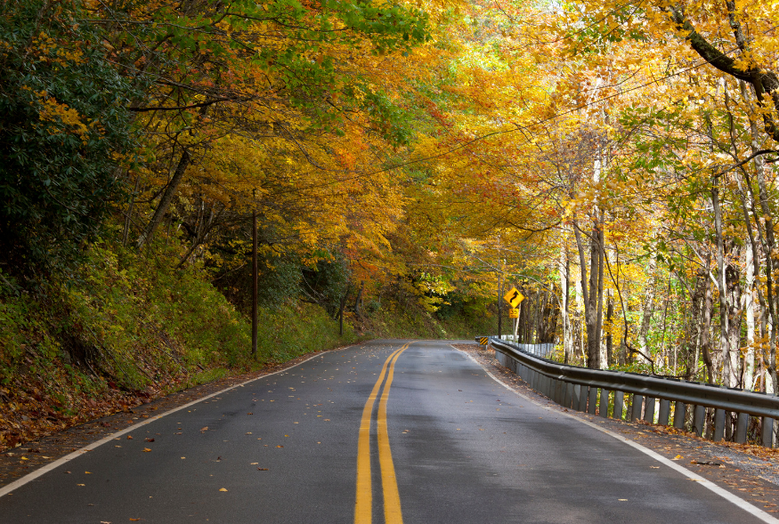 Sober Living App Your Questions About Opening a Sober Living Home in