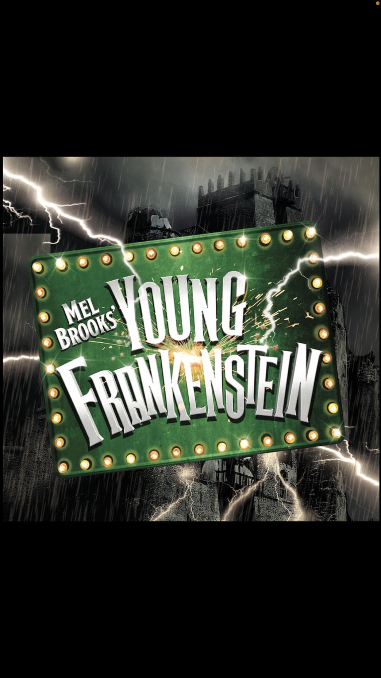 Young Frankenstein 