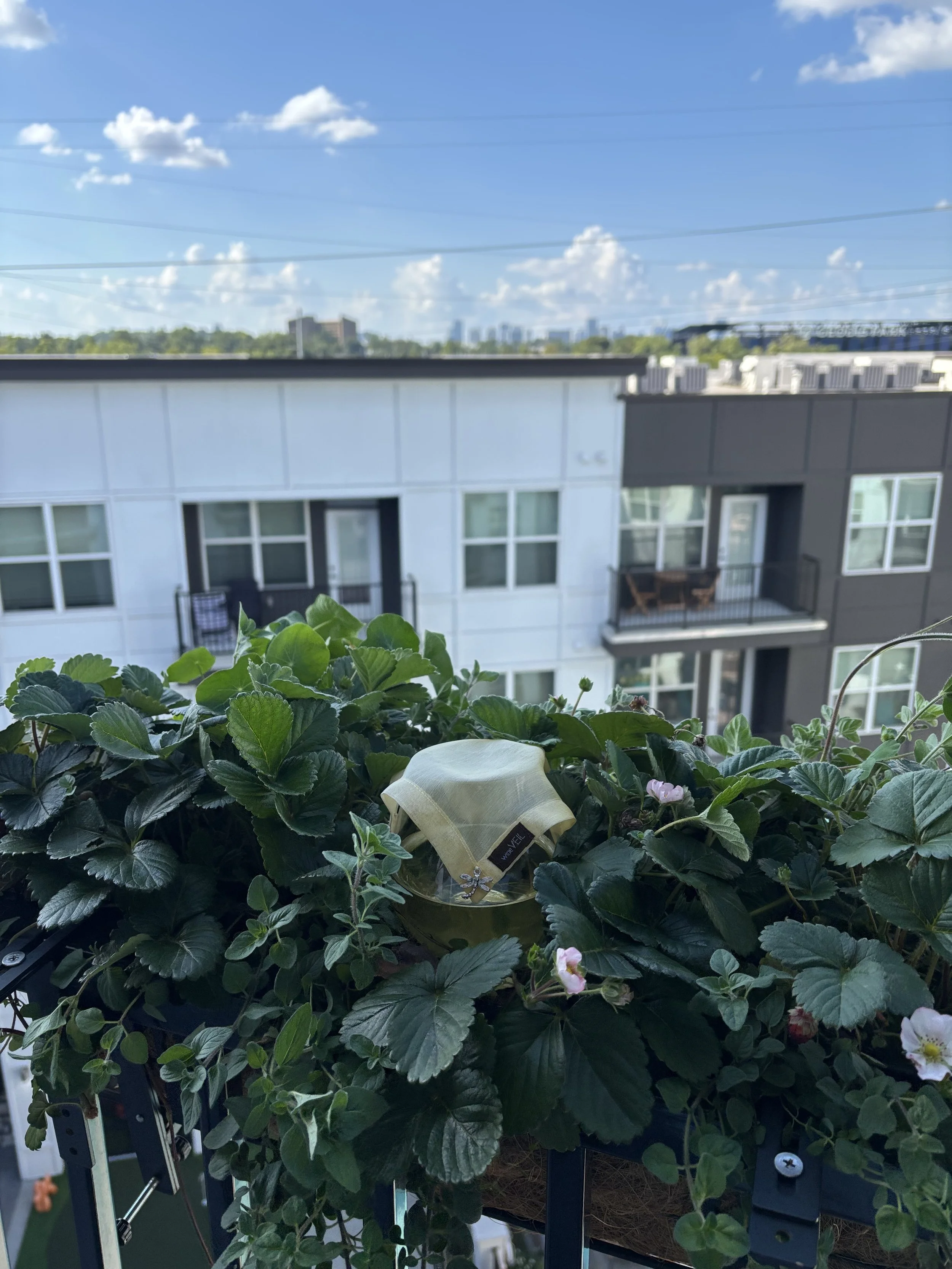 IMG_2103.jpeg