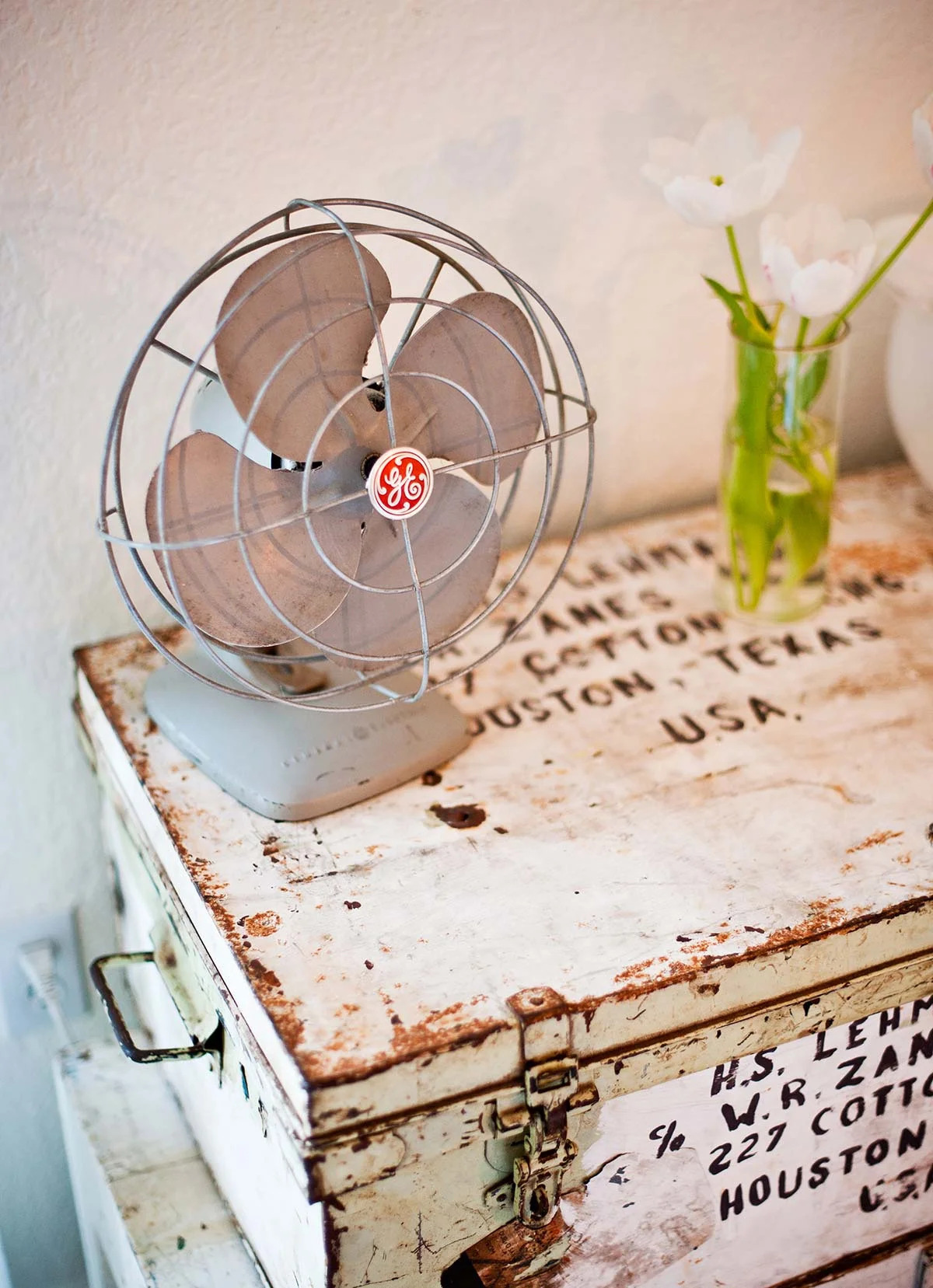 bnb-fan.jpg
