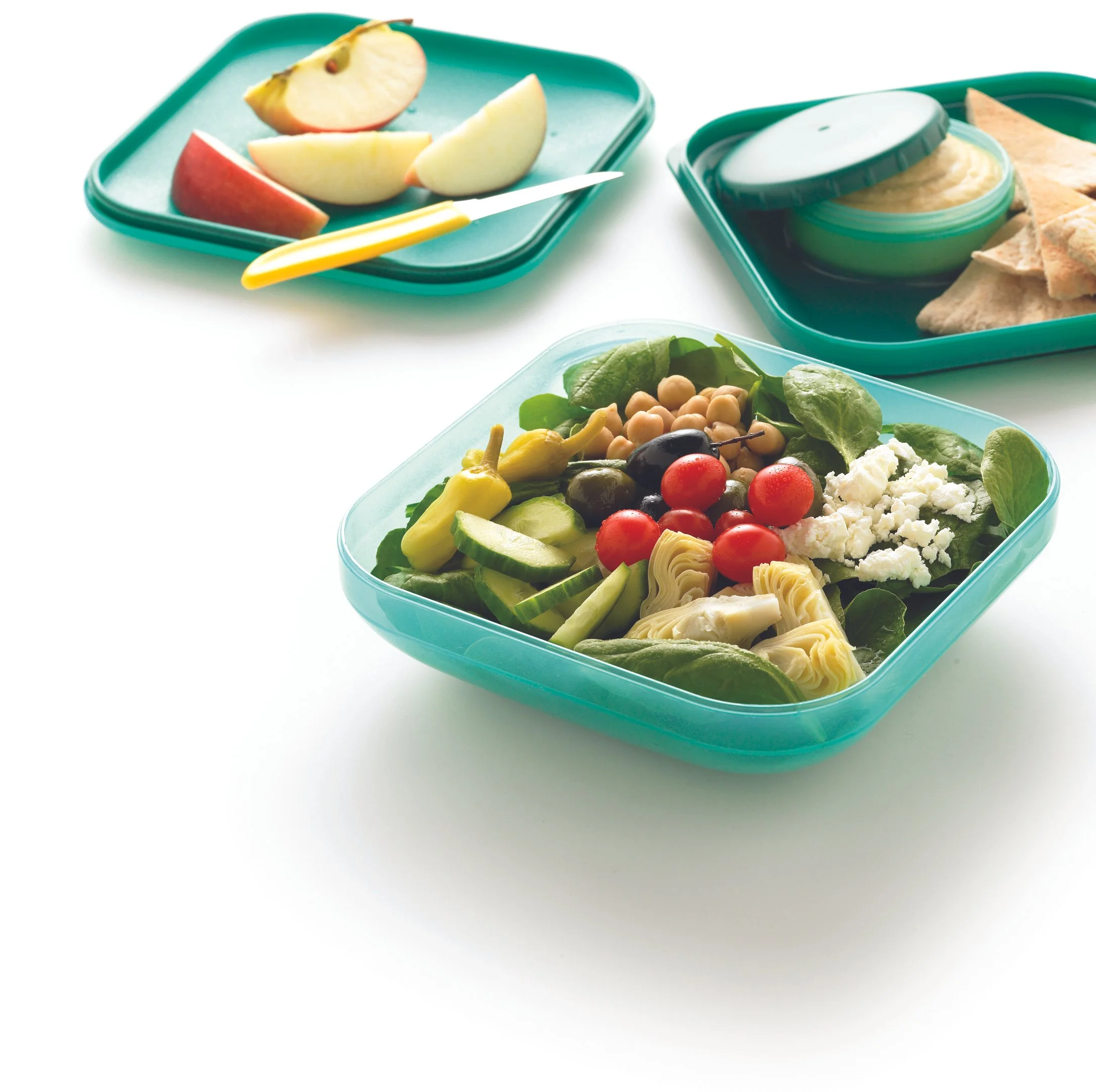 Aladdin Salad Carry Kit
