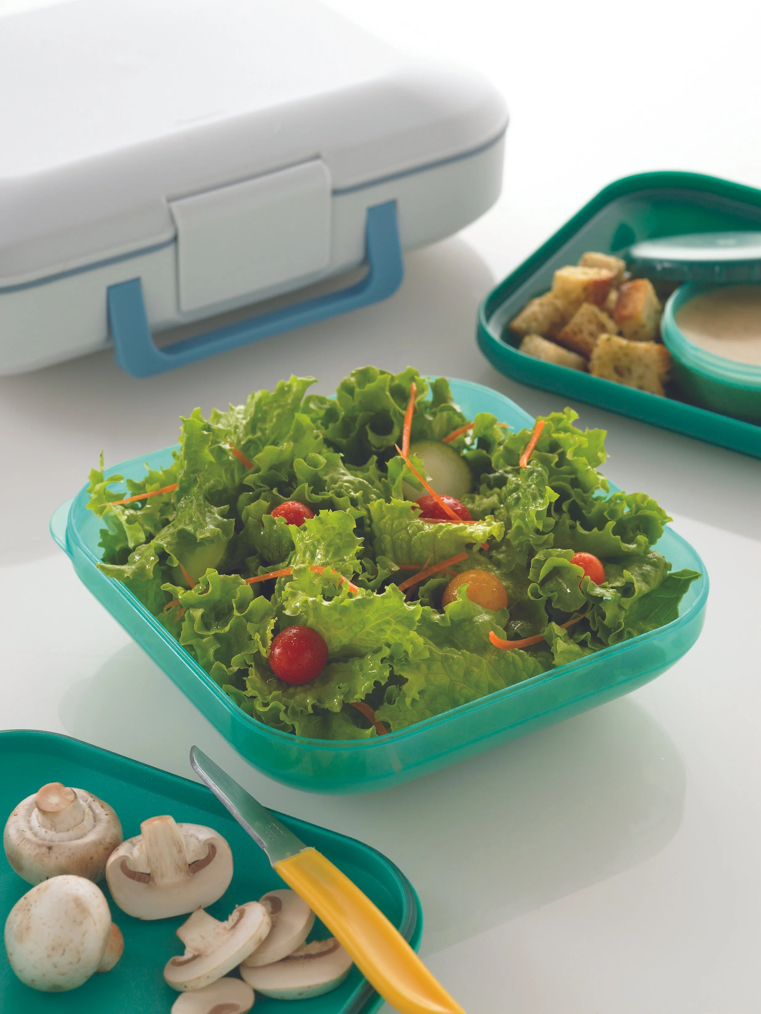 A_Lunch Go Salad Set LG 1_PROP_UNLIC_C_120109.jpeg