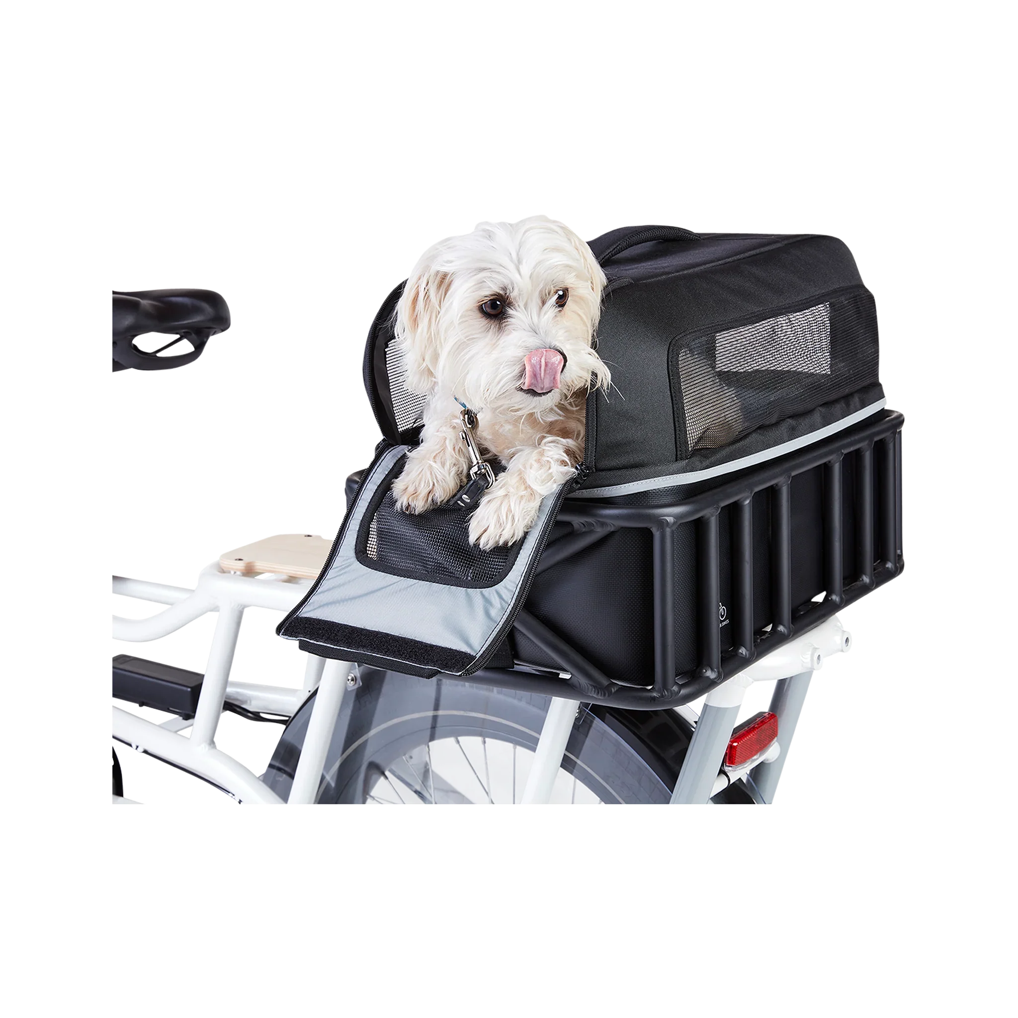 200-00097_PetBasketCarrier_onbike_withdog_1.webp