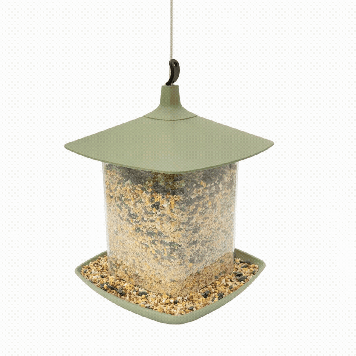 NSI Lantern gif.gif