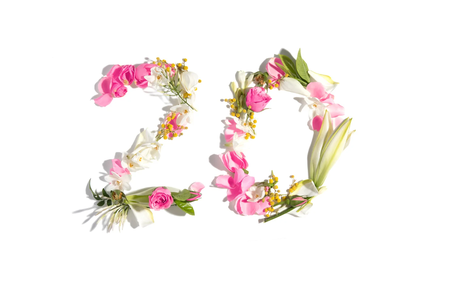 Flower-20_100percPINK.jpg