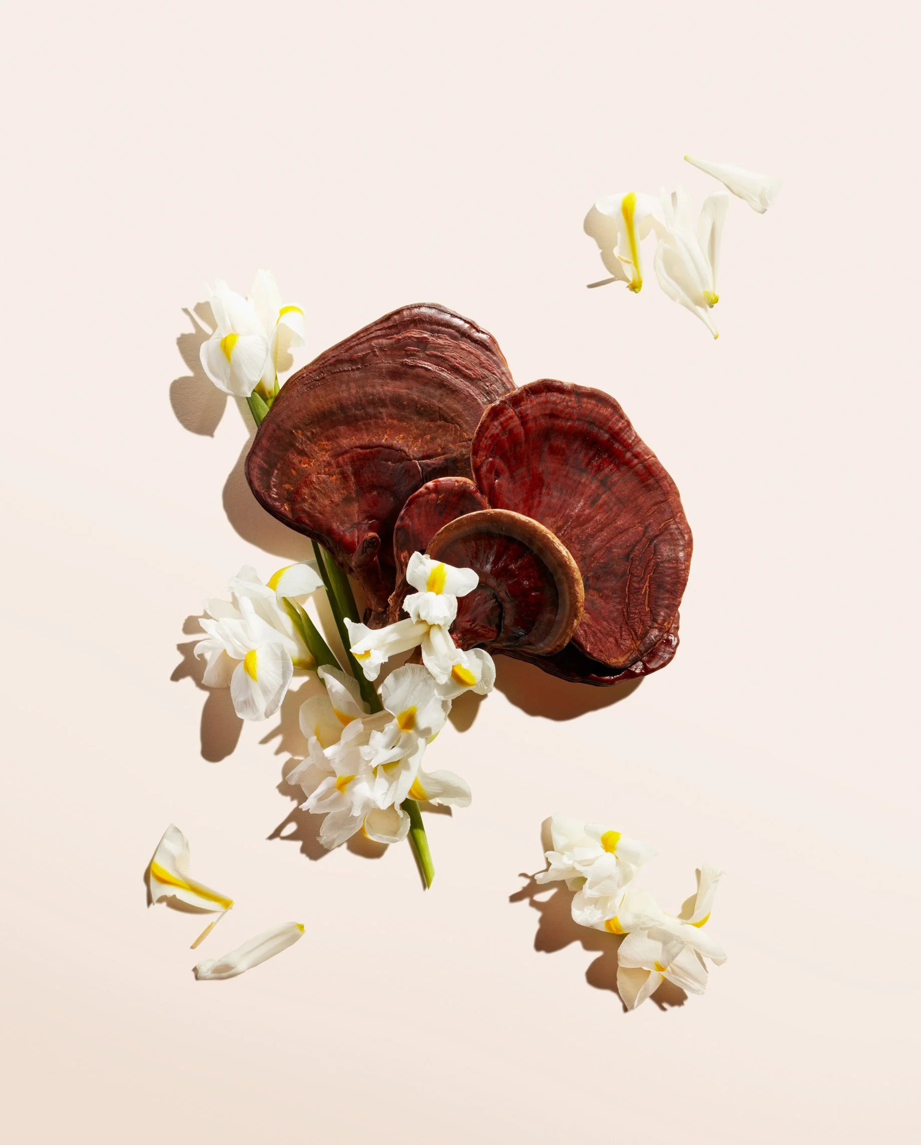 SHI_F21_PDP Top 25_DylanGriffin_Ingredient_Ultimune_2.JPG
