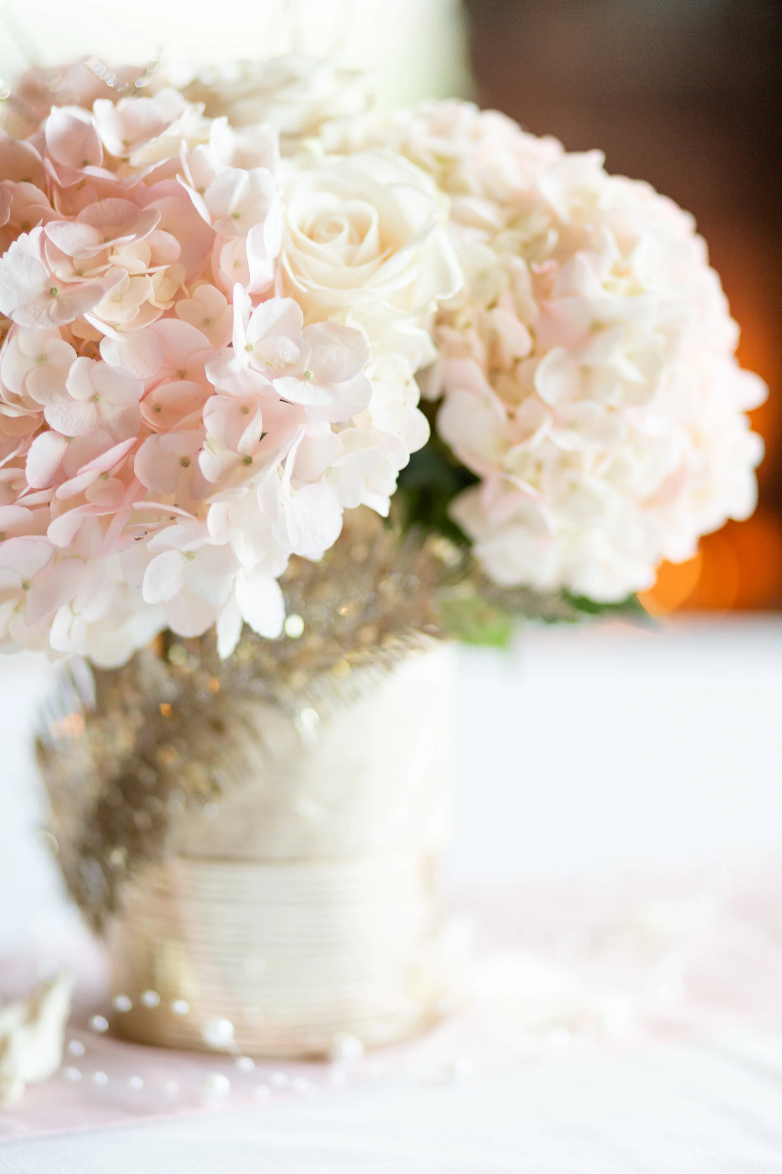 blog scott and nicole-66.jpg