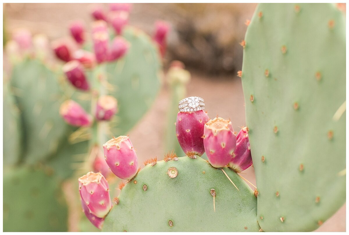 Tips for planning a stress-free wedding. What to do once you are engaged. Arizona Wedding Photographer Melissa Fritzsche Photography captures ring details on prickly pear cactus during engagement session.