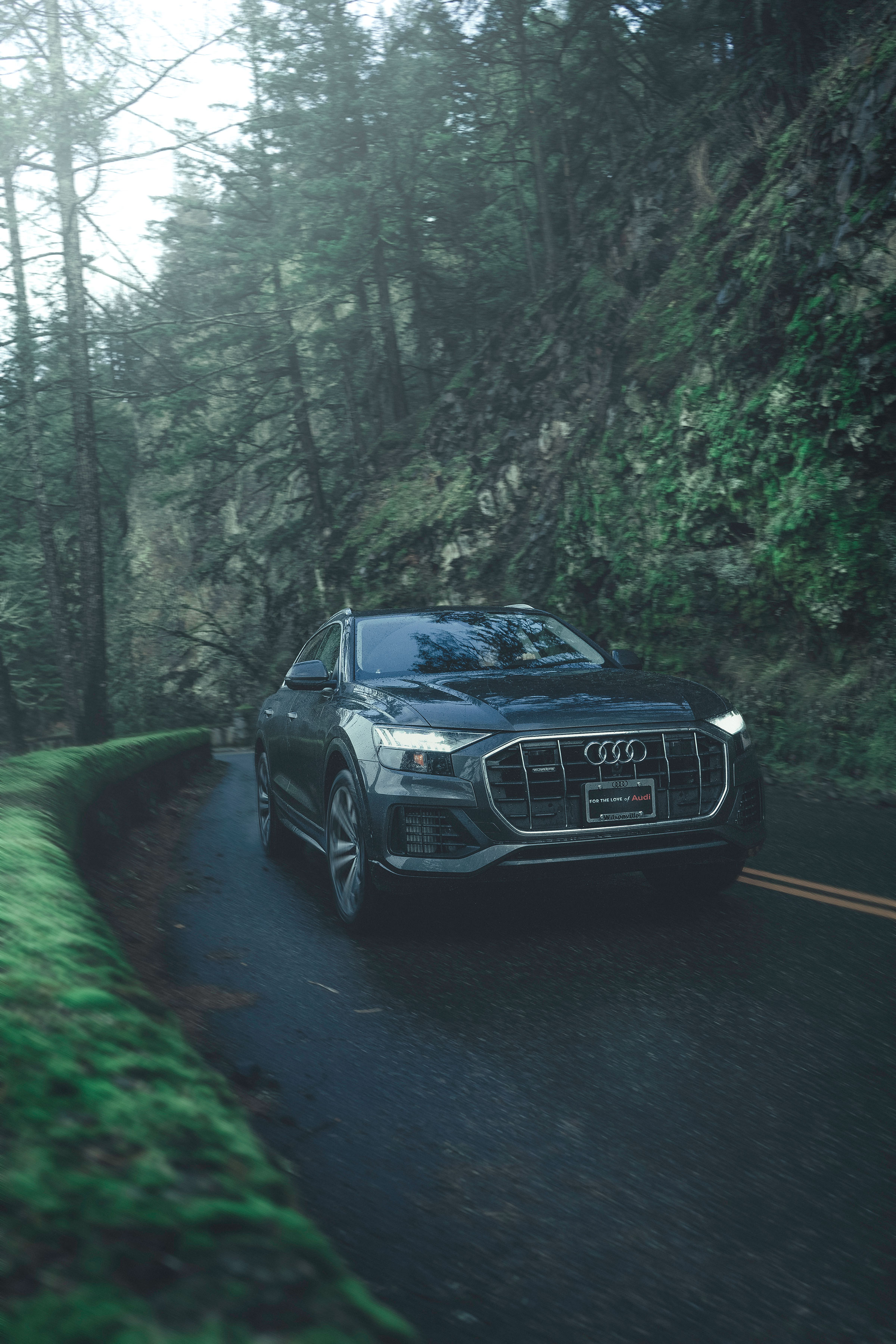 Audi_Q8.jpg