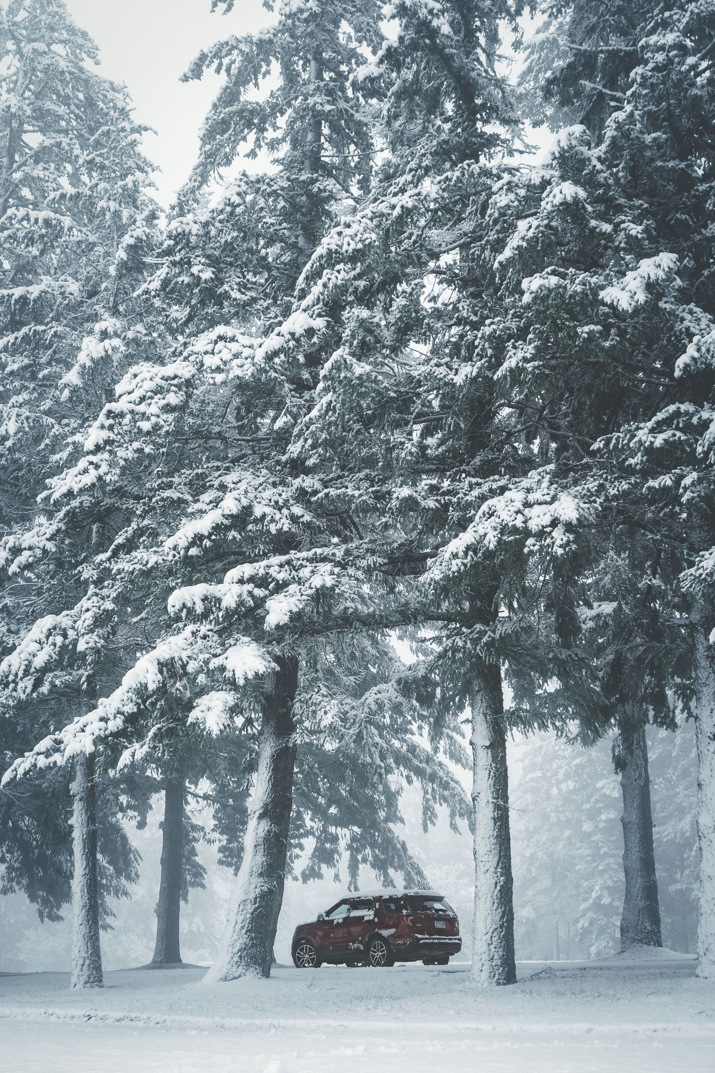 Cristofer_Jeschke_Snow_Day-3.jpg