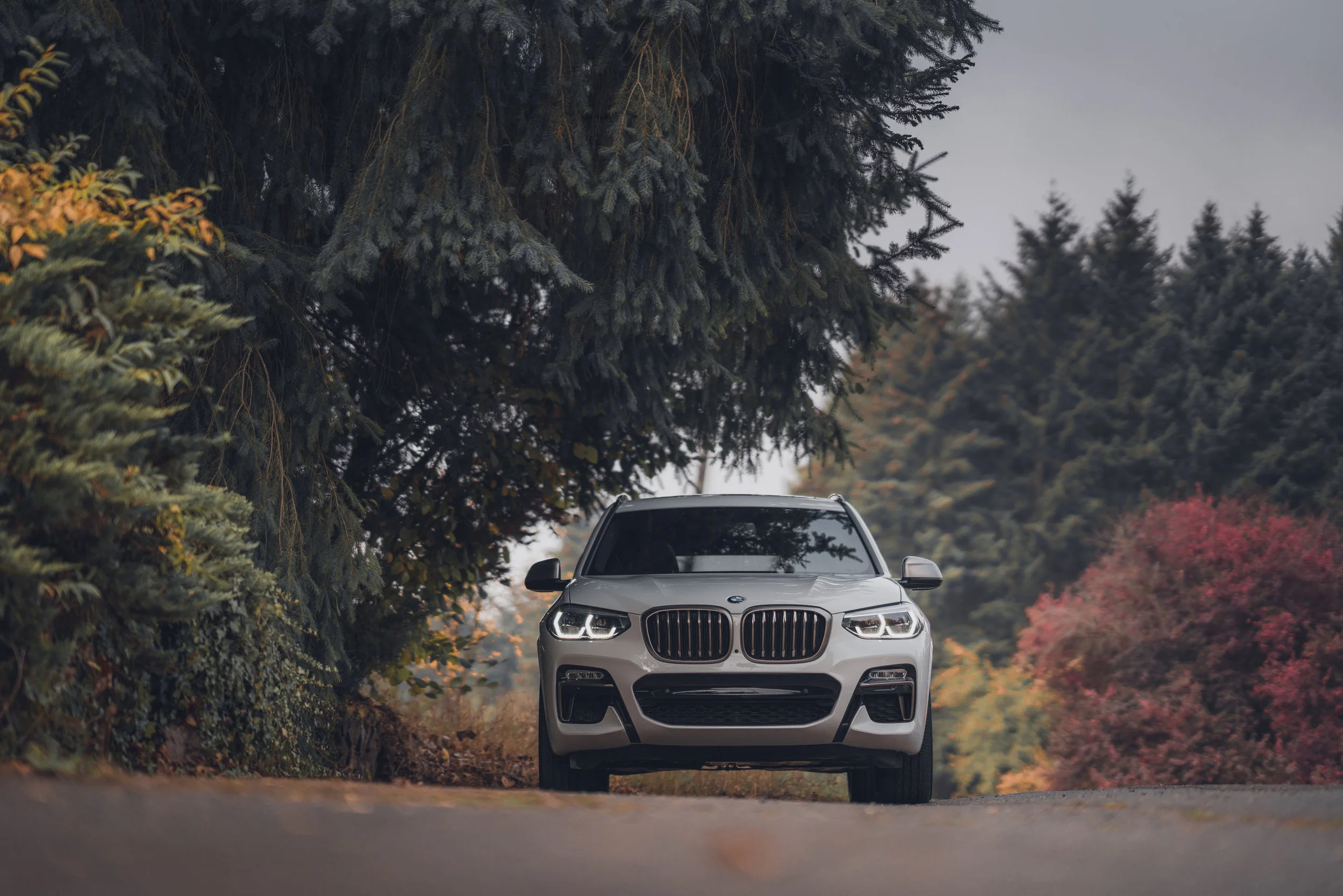X3-M40i_Cristofer_Jeschke-(9-of-12).jpg