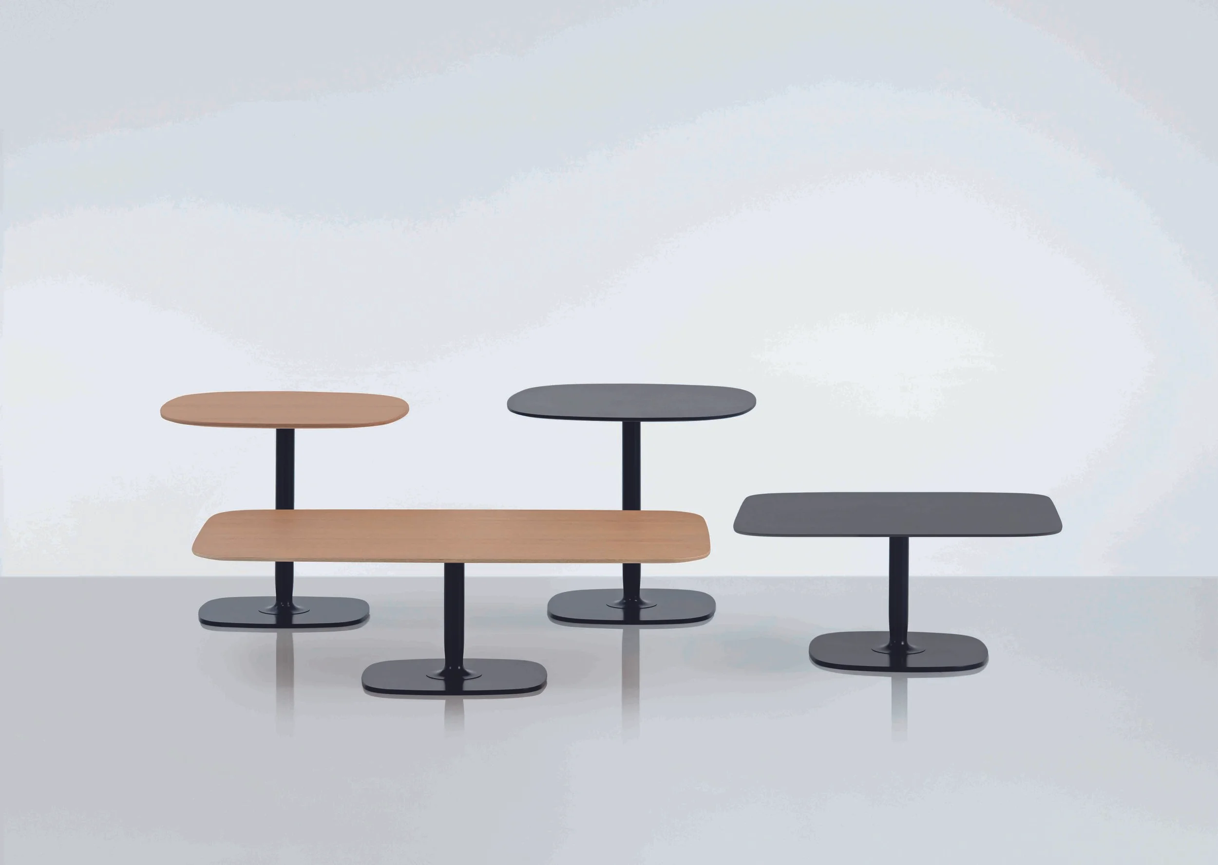 Bloom by Magnus Long (Group2).jpg