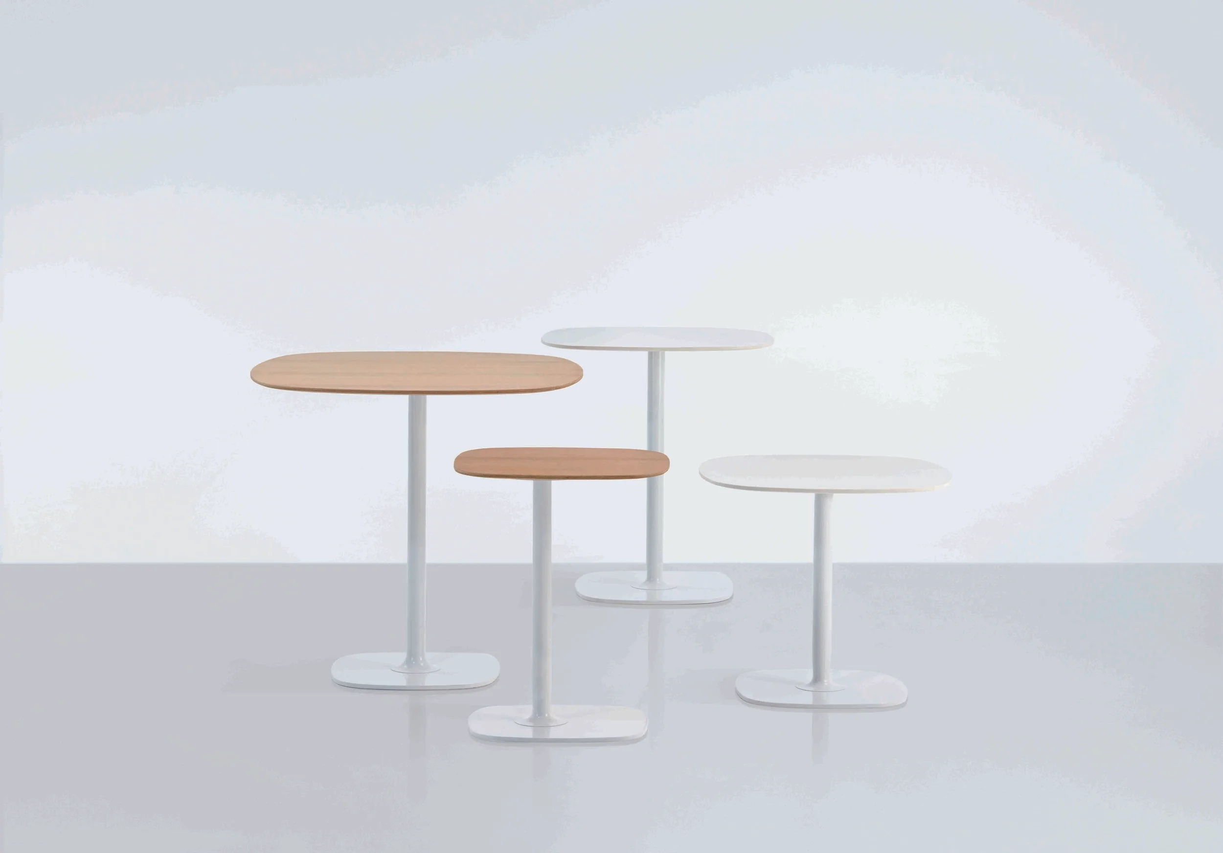 Bloom by Magnus Long (Group1).jpg