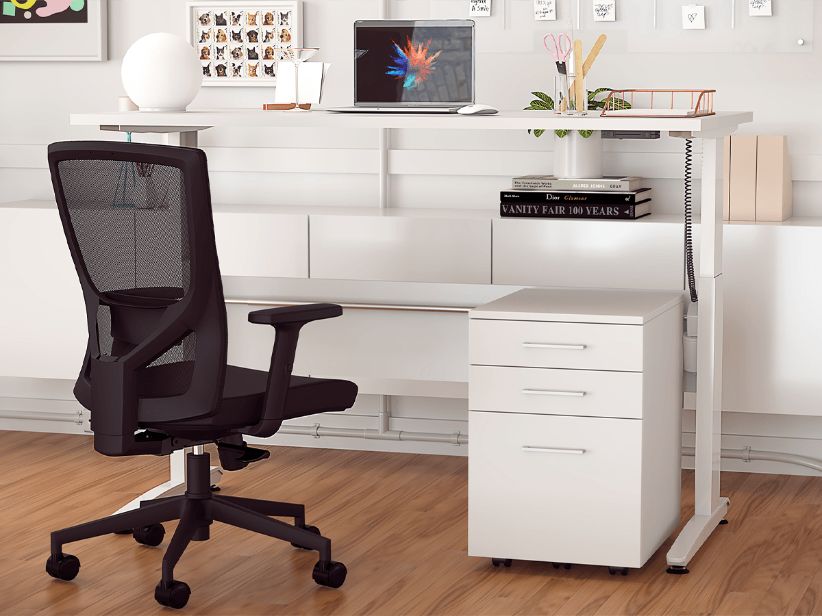 Electric Sit to Stand Bundle