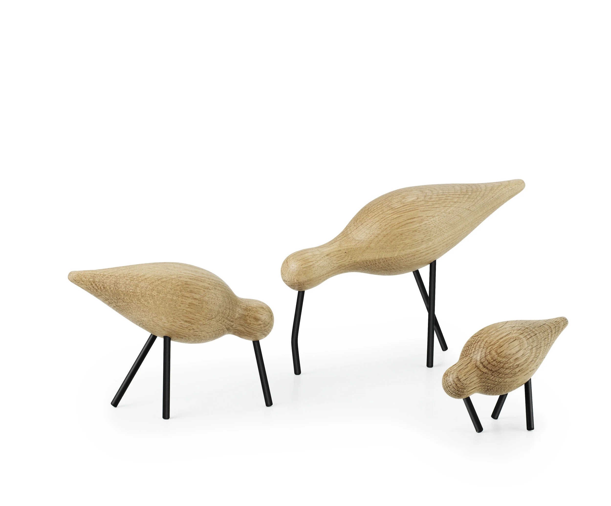 Shorebird - Large, Medium, Small