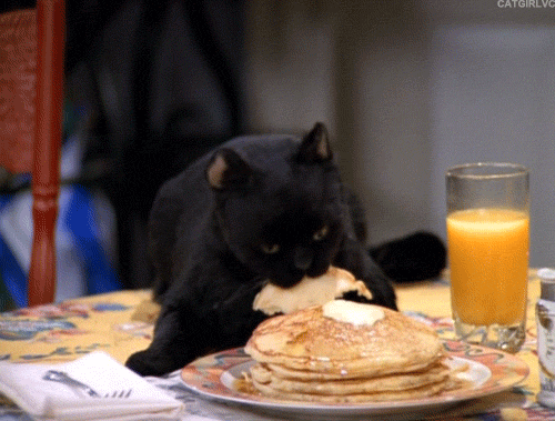 salem.gif