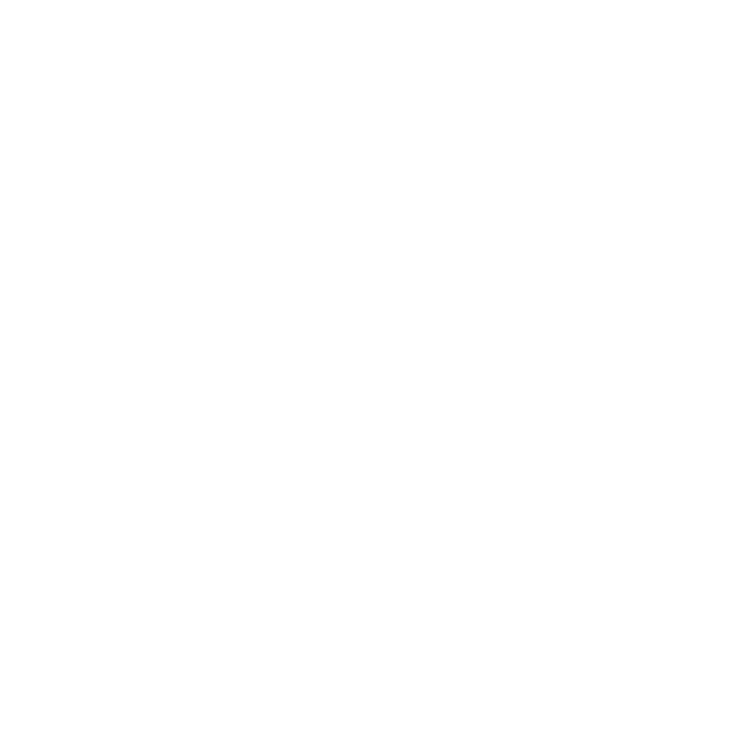 Logo_Transparent_White.png