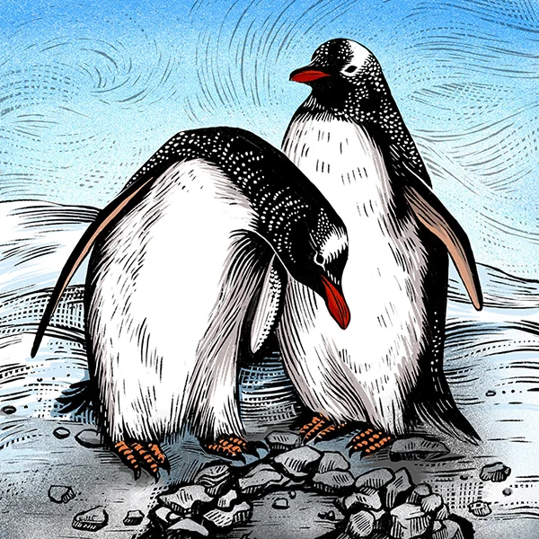 penguin_colour_web.jpg