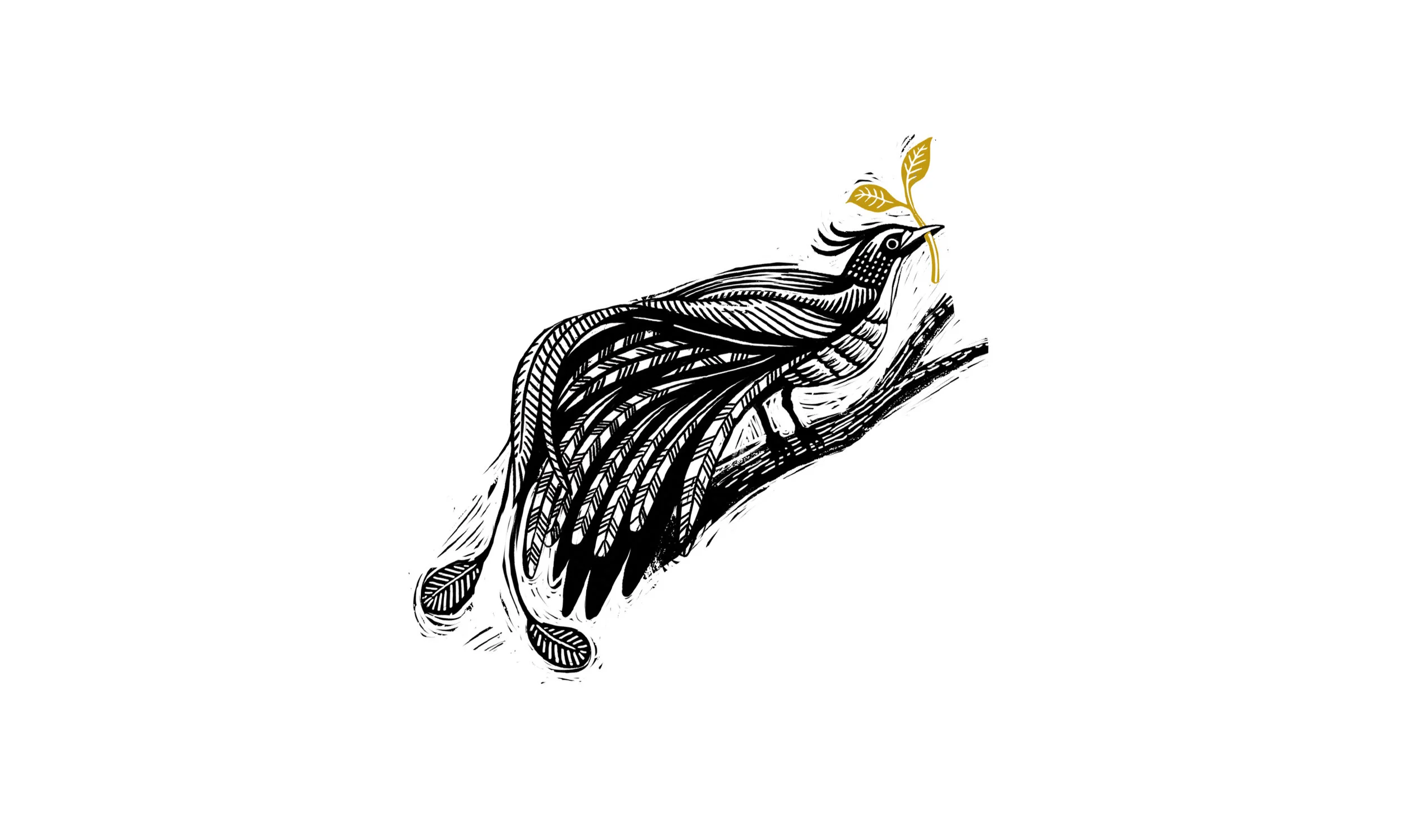 Bird_.jpg